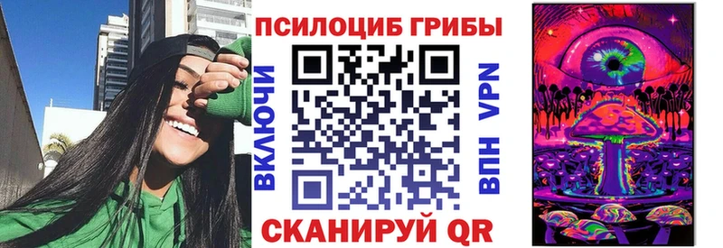 закладка  Янаул  Псилоцибиновые грибы Psilocybe 