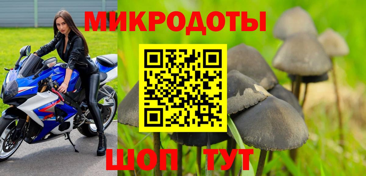 Псилоцибиновые грибы Psilocybine cubensis  Галлюциногенные грибы ЛСД  Вход с VPN  Янаул 